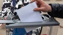 Жители приграничья Белгородской области смогут голосовать на выборах рядом со своим домом