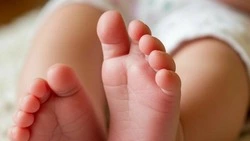 1172 отца ушли в отпуск по уходу за детьми в Белгородской области