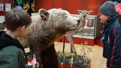 Ученики начальной школы посёлка Майский посетили факультет ветеринарной медицины БелГАУ 