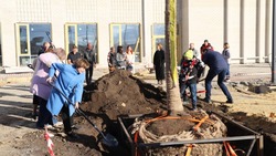 Анна Куташова присоединилась к участию в благоустройстве школы в микрорайоне «Наследие»