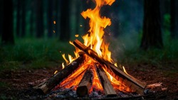 Белгородские власти ввели особый противопожарный режим в Белгородской области