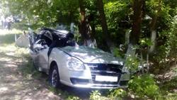 Водитель «Лады» врезался в дерево и от полученных травм скончался на месте ДТП