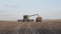 Уборочная кампания продолжается в Белгородском районе