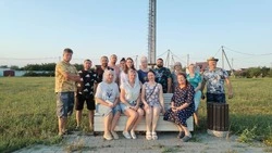 В тени берёз