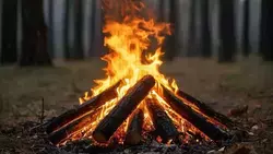 Особый противопожарный режим в Белгородской области продлится до 26 октября