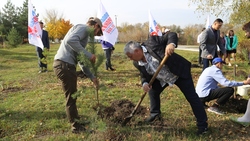Школьники посадили 350 деревьев в Белгородском районе