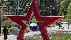 Белгородцы смогут поучаствовать во Всероссийской акции «Бессмертный полк России онлайн»