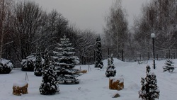 Зима в Дубовом ещё недавно была снежной