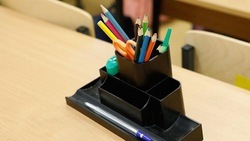 Белгородское правительство порекомендовало перевести работу учителей на дистанционный формат 