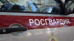 Сотрудники Росгвардии задержали свыше 50 правонарушителей в Белгородской области