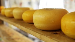Белгородские пограничники задержали 600 килограммов сыра и 600 граммов конопли