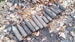  14 артснарядов времён Великой Отечественной войны были найдены в Яковлевском округе