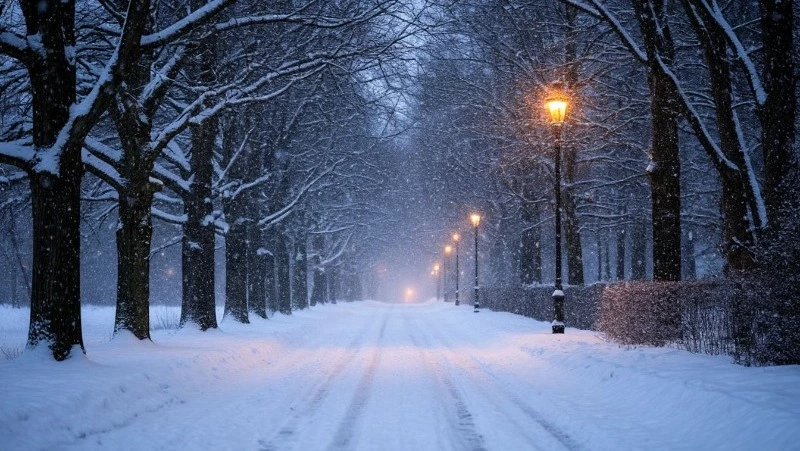 Умеренный снег ожидается в Белгородской области во вторник