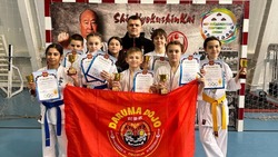 Спортсмены ДЮСШ Белгородского района – призёры и победители первенства по киокусинкай