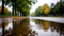 Кратковременные дожди придут в Белгородскую область
