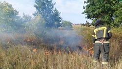 Белгородские огнеборцы выезжали 14 раз на ликвидацию пожаров за минувшие сутки