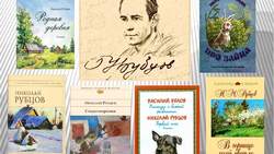 Библиотекари из Белгородского района подготовили обзор книг ко дню рождения Н. Рубцова
