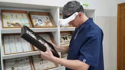 Красивое – не всегда безопасное