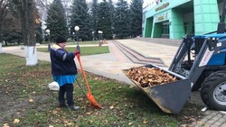 Экологические субботники прошли в городских и сельских поселениях Белгородского района 