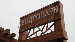 Анна Куташова проверила ход строительства дендропарка в Разумном