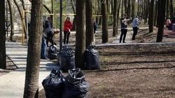 Белгородцы станут участниками традиционного Всероссийского субботника
