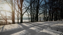 Температура воздуха опустится до 8 градусов мороза на территории Белгородской области 27 февраля