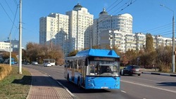 Количество маршрутов общественного транспорта Белгородской агломерации увеличится до 132