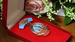 Три тысячи жительниц Белгородской области получили награду «Материнская слава»