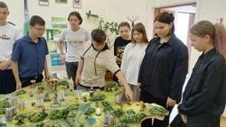 Обновлённая экспозиция «О Белгородском районе» открылась в Мясоедовской библиотеке-музее