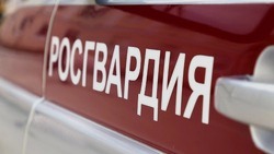 Белгородские росгвардейцы задержали подозреваемого в краже одежды из сетевого спортивного магазина