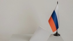 Вячеслав Гладков сообщил о начале досрочного голосования по выборам президента РФ
