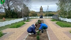 Жители Белгородского района стали участниками областного субботника