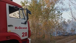 Белгородские огнеборцы ликвидировали 12 пожаров на территории региона за минувшие сутки