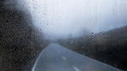 Небольшие дожди пройдут на территории Белгородской области 19 октября