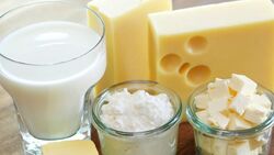 Молочный фальсификат может попасть в Белгородскую область