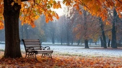 Переменная облачность и мороз ожидаются в Белгородской области 30 ноября