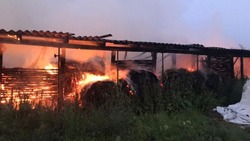 Более 3 тонн заготовленного на зиму сена сгорело в Белгородской области за прошедшие сутки 
