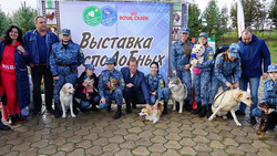 Выставка беспоДоБных собак прошла в Белгородском районе