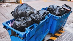 Белгородские власти решили проблему с вывозом крупногабаритного мусора в областном центре