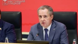 Вячеслав Гладков проинформировал об атаках ВСУ в Белгородском районе за минувшие сутки