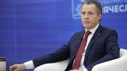 Вячеслав Гладков сообщил о сборе восьми тонн желудей для лесовосстановления