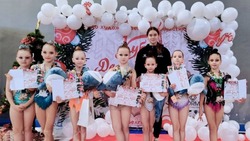 Турнир по художественной гимнастике «Кубок Деда Мороза» состоялся в Белгороде