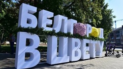 Соборная площадь в Белгороде будет подготовлена к фестивалю «Белгород в цвету»