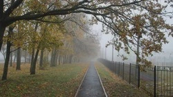 Комсомольское поселение: перемены радуют