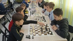 Первенство Белгородского района по шахматам прошло в посёлке Октябрьский
