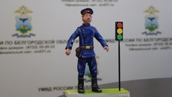 Подведение итогов конкурса «Полицейский Дядя Стёпа» прошло в УМВД по Белгородской области