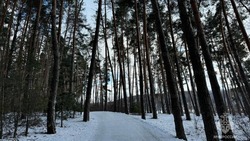 Небольшой снег ожидается в Белгородской области 20 февраля