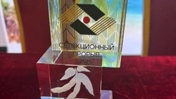 Материал
