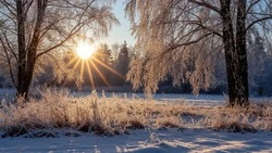 До 11 градусов мороза похолодает в Белгородской области