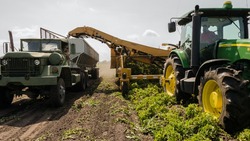 Аграрии Белгородской области намолотили свыше 1 млн тонн зерна